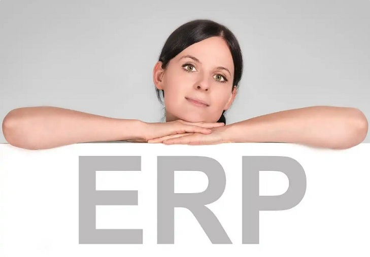 ERP 系统在生产成本与销售利润分析中的核心作用